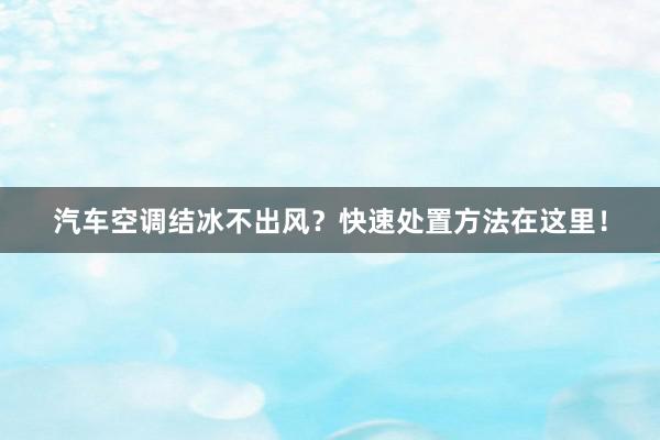 汽车空调结冰不出风？快速处置方法在这里！